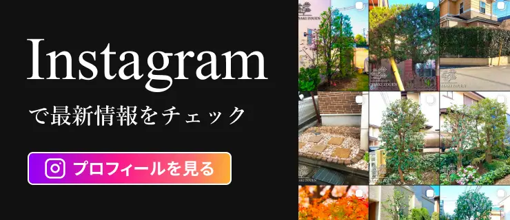 Instagramで最新情報をチェック